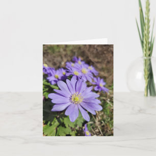Carte Fleur violette