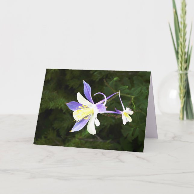 Carte Fleur violette et blanche, Florale, blanche à l'in (Devant)