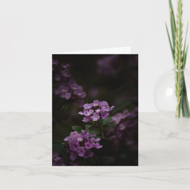 Carte Fleur violette, Sympathie (Devant)