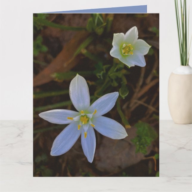 Carte fleurir en blanc (Devant)