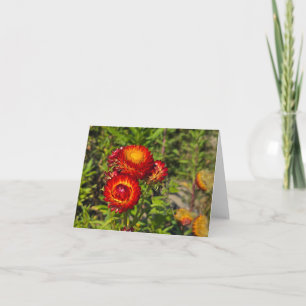 Carte Fleurs