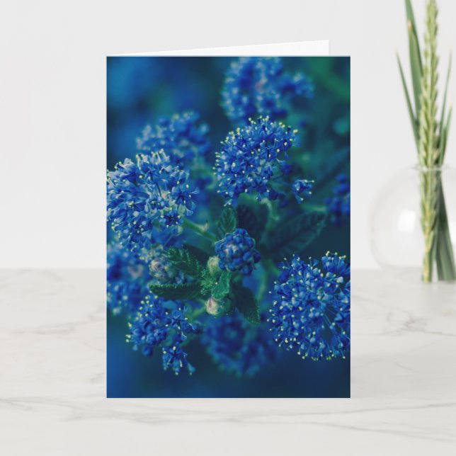 Carte Fleurs (Devant)