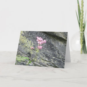 Carte Fleurs alpines