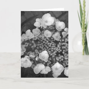 Carte Fleurs B&W