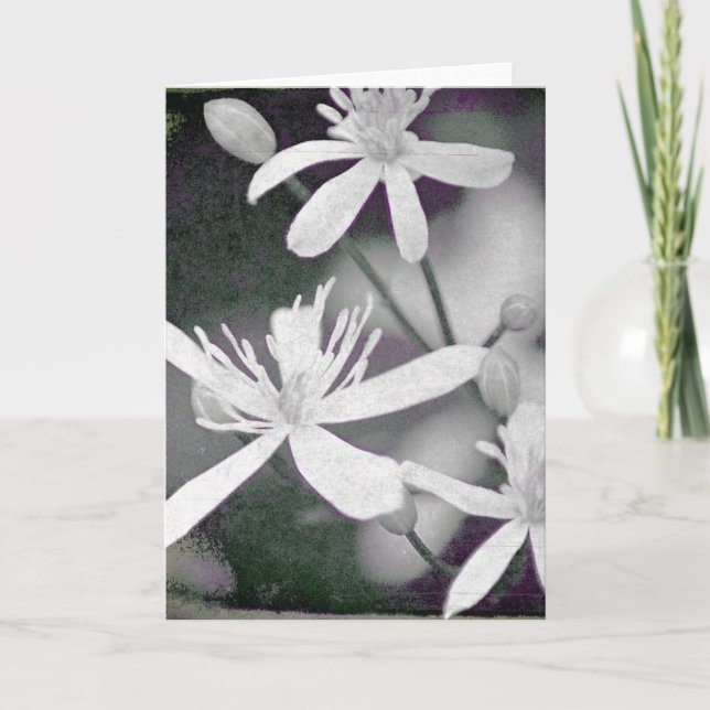 Carte Fleurs blanches (Devant)