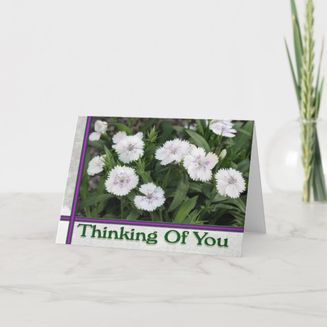 Carte fleurs blanches qui pensent à vous (Devant)
