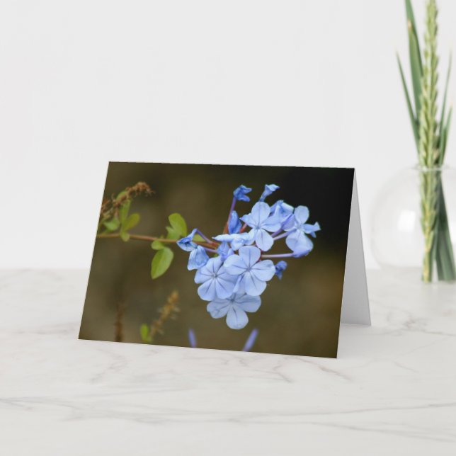 Carte Fleurs bleues (Devant)