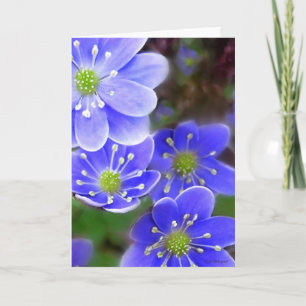 Carte Fleurs bleues-GReeting