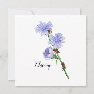 Carte Fleurs chicorées Aquarelle plat