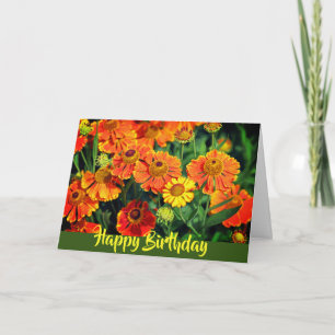 Carte Fleurs d'achillée sternutatoire orange Joyeux Anni
