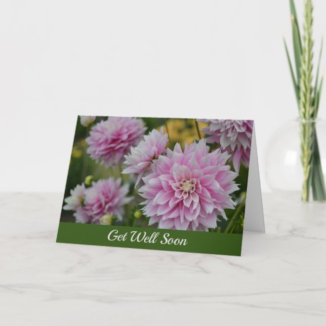Carte Fleurs Dahlia roses au jardin RHS Obtenez bien bie (Devant)