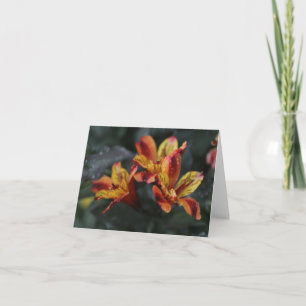 Carte Fleurs d'Alstroemeria