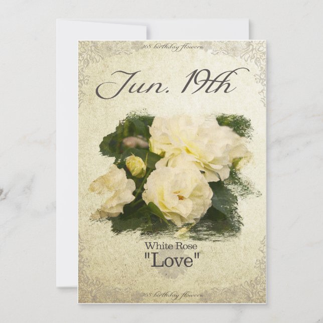 Carte Fleurs d'anniversaire le 19 juin "Rose blanche" (Devant)