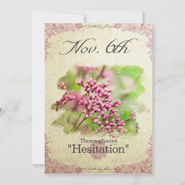 Carte Fleurs d'anniversaire le 6 novembre "Thoroughwort" (Devant)