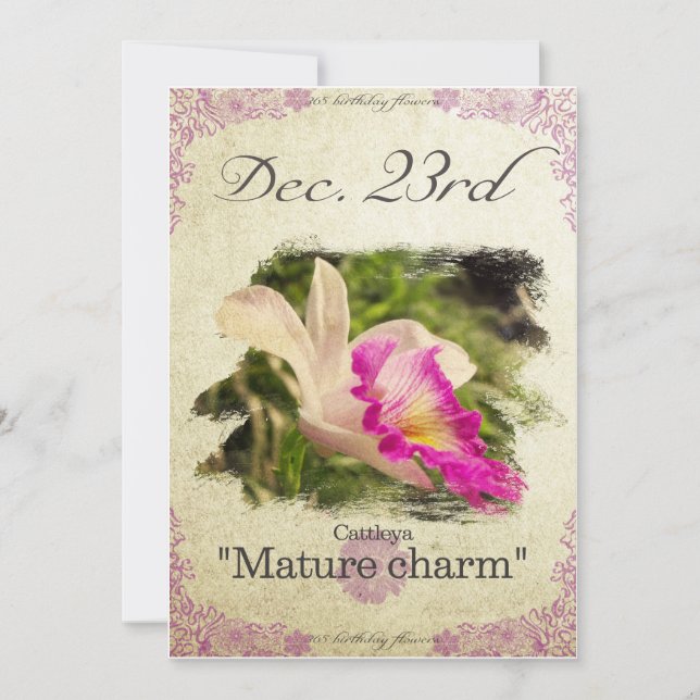 Carte Fleurs d'anniversaire le Décembre 23 "Cattleya" (Devant)
