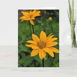 Carte Fleurs dans le jardin