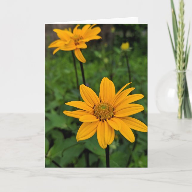 Carte Fleurs dans le jardin (Devant)