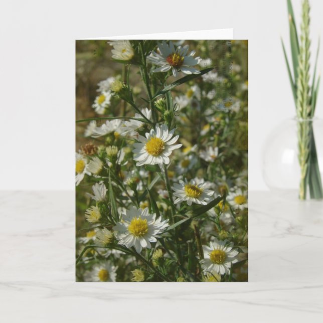 Carte Fleurs d'automne Toutes les occasions (Devant)
