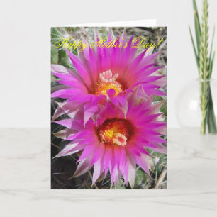 Carte Fleurs de cactus à balle F5 "Escobaria vivipara"