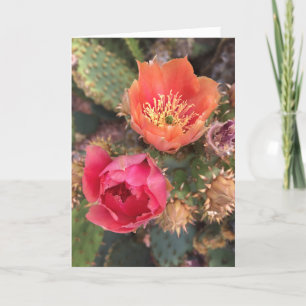 Carte Fleurs de Cactus Désert en Fleur