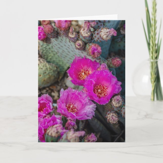 Carte Fleurs de cactus Fuchsia vives| Printemps du déser (Devant)