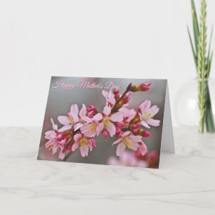 Carte Fleurs de cerisier de la fête des Mères rose dans 
