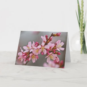Carte Fleurs de cerisier japonaises roses sur un ciel gr