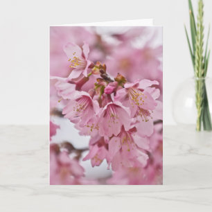 Carte Fleurs de cerisier Sakura rose pâle