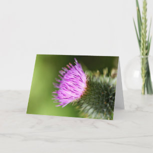 Carte Fleurs de cerisiers roses doubles au printemps de 