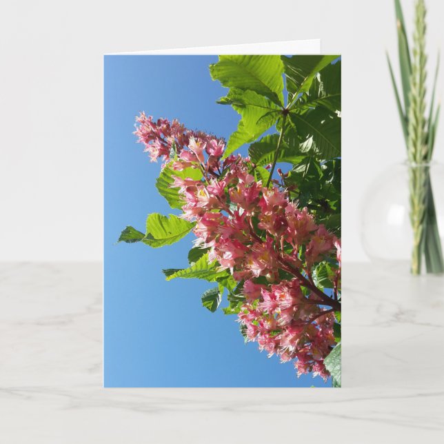 Carte Fleurs de châtaigniers en fleurs au printemps (Devant)