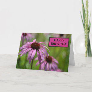 Carte Fleurs de cône d'échinacée violette à RHS Wisley