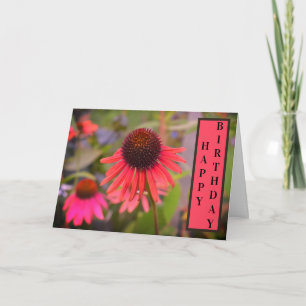 Carte Fleurs de cône rouge Echinacea Joyeux anniversaire