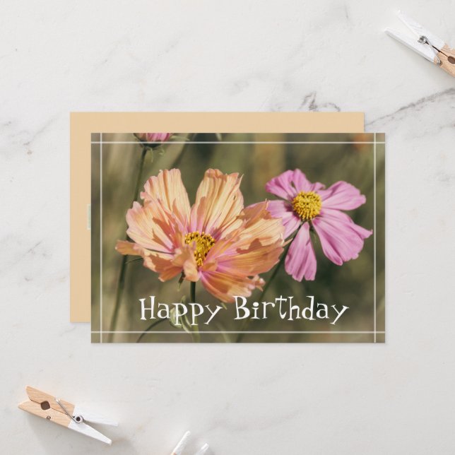 Carte Fleurs de Cosmea d'été rétro pour anniversaire (Devant/Arrière en situation)