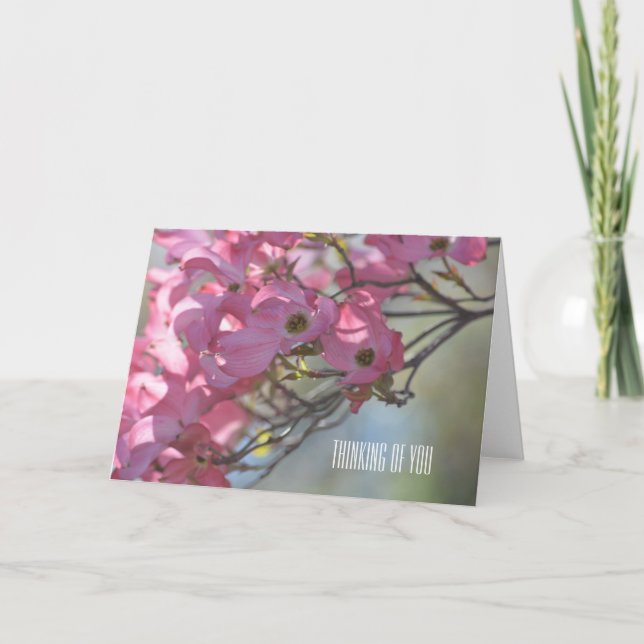 Carte Fleurs de Dogwood Rose (Devant)