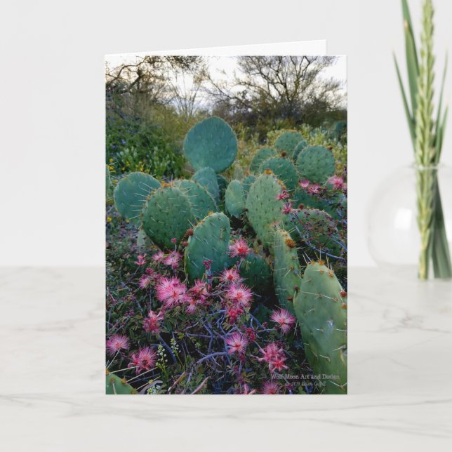 Carte Fleurs de duster rose et cactus de poires (Devant)