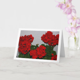 Carte Fleurs de géranium rouges, portrait floral