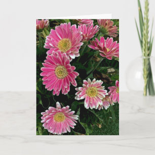 Carte Fleurs de Gerbera