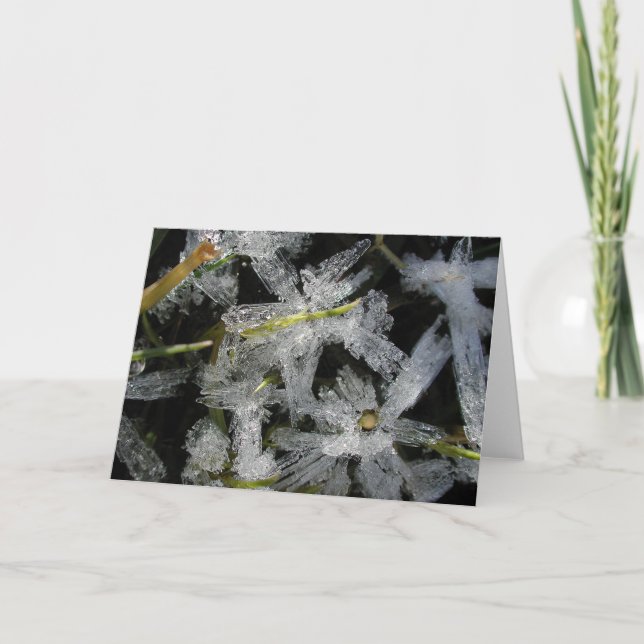 Carte Fleurs de glace (Devant)