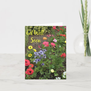 Carte Fleurs de jardin en fleurs