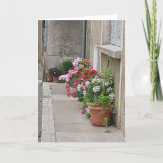 Carte Fleurs de la France