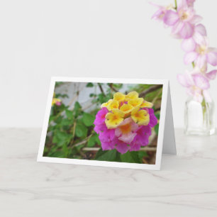 Carte Fleurs de lantana rose et jaune