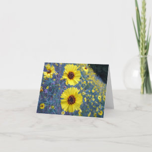 Carte Fleurs de Madia communes dans le parc national de 