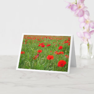 Carte Fleurs de pavot rouge