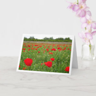 Carte Fleurs de pavot rouge