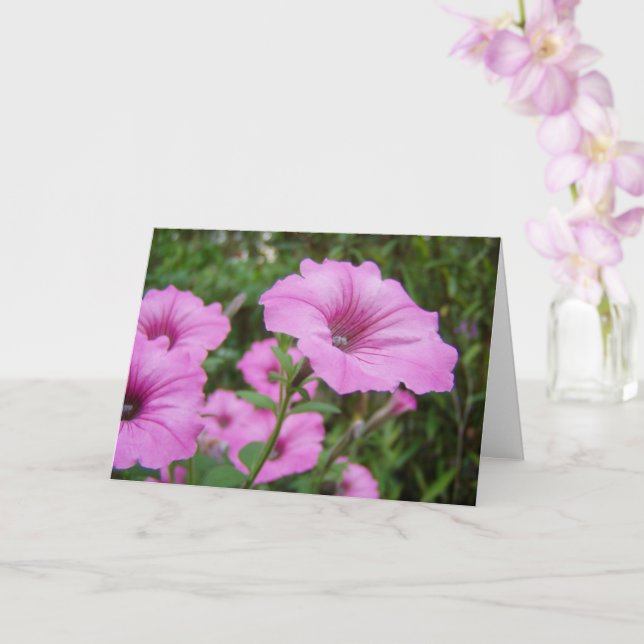 Carte Fleurs de pétunia pourpre et feuillage vert (Orchidée)