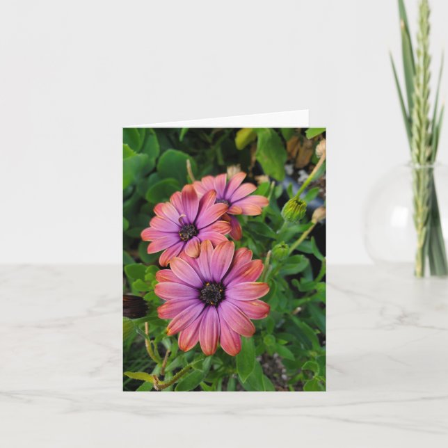 Carte Fleurs de printemps (Devant)