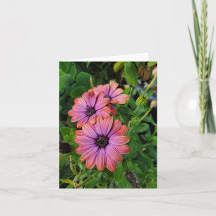 Carte Fleurs de printemps