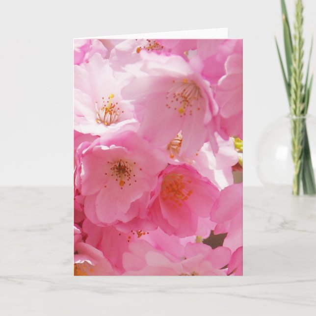 Carte Fleurs de printemps roses (Devant)