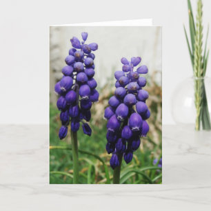 Carte Fleurs de printemps violettes