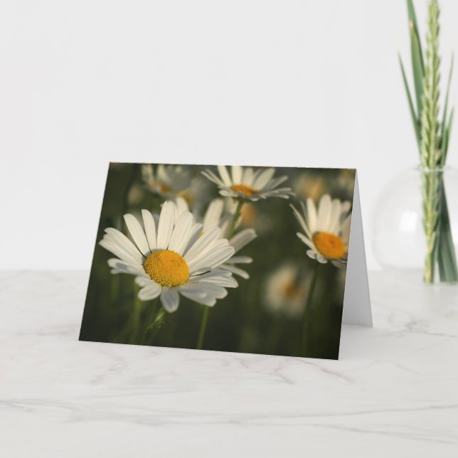 Carte Fleurs de ressort (Devant)